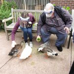 Visitors sit in the outside area to play with ducks