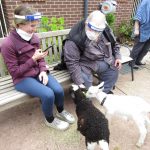 Visitors sit in the outside area to play with young goats